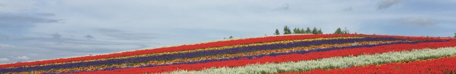 北海道の魅力とは